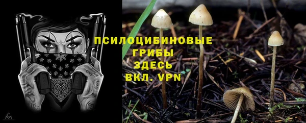 мяу мяу кристалл Алексин