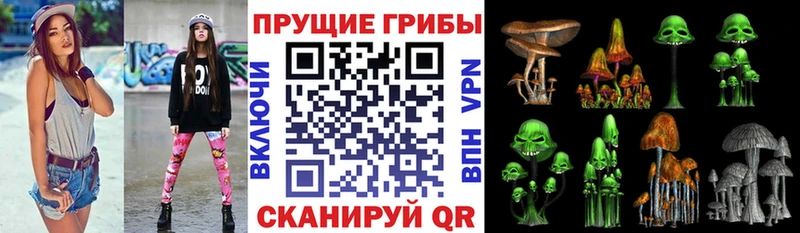 где купить   Десногорск  блэк спрут вход  Галлюциногенные грибы Psilocybe 