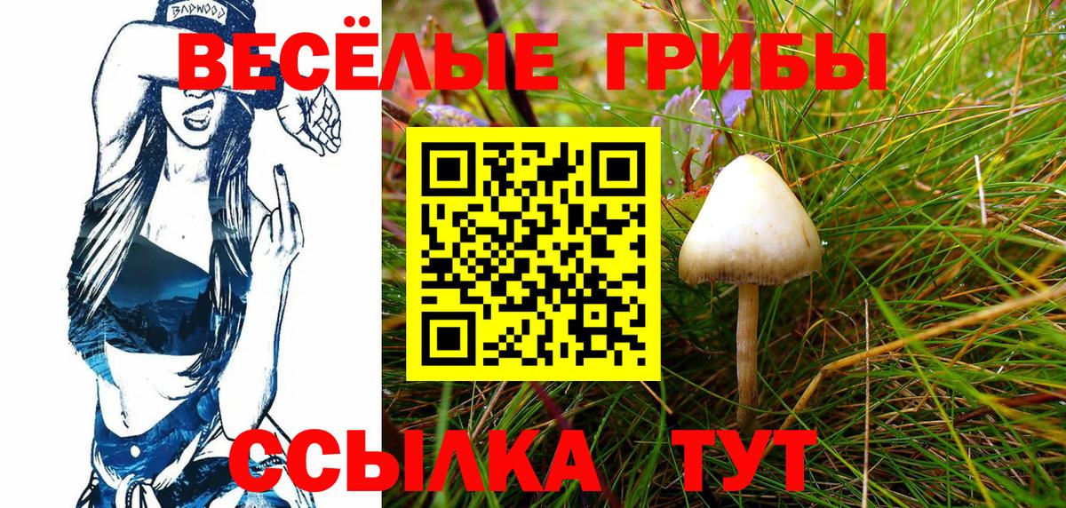 Галлюциногенные грибы GOLDEN TEACHER  Вход с VPN  Десногорск 
