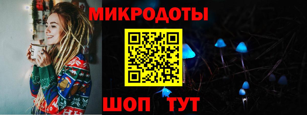 Псилоцибиновые грибы Cubensis Десногорск